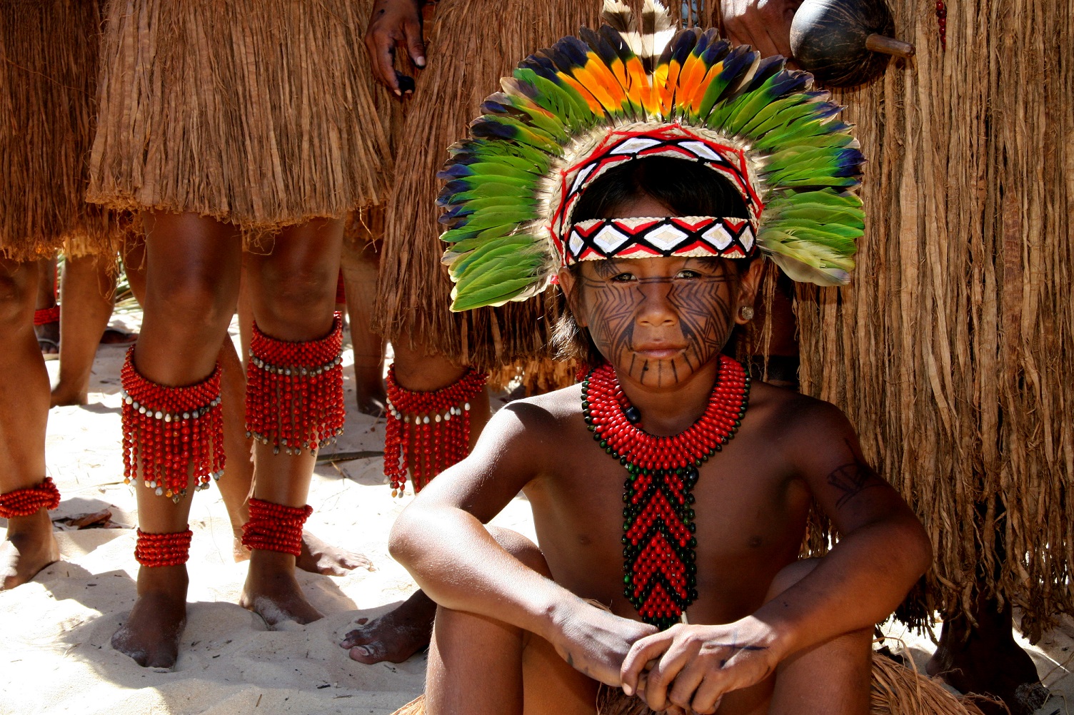 dia nacional dos povos indígenas